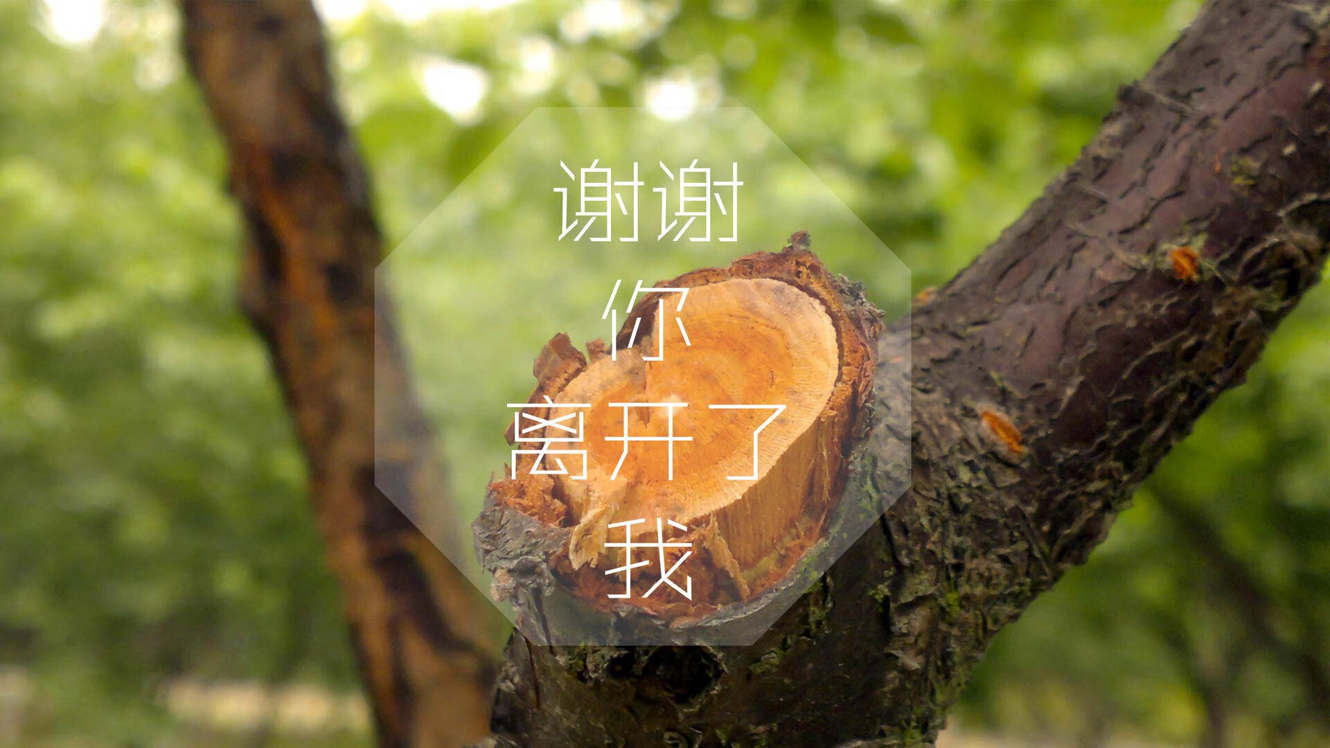 开云中国-中国足球比赛中长传战术使用率，中国足球比赛中长传战术使用率最高的是