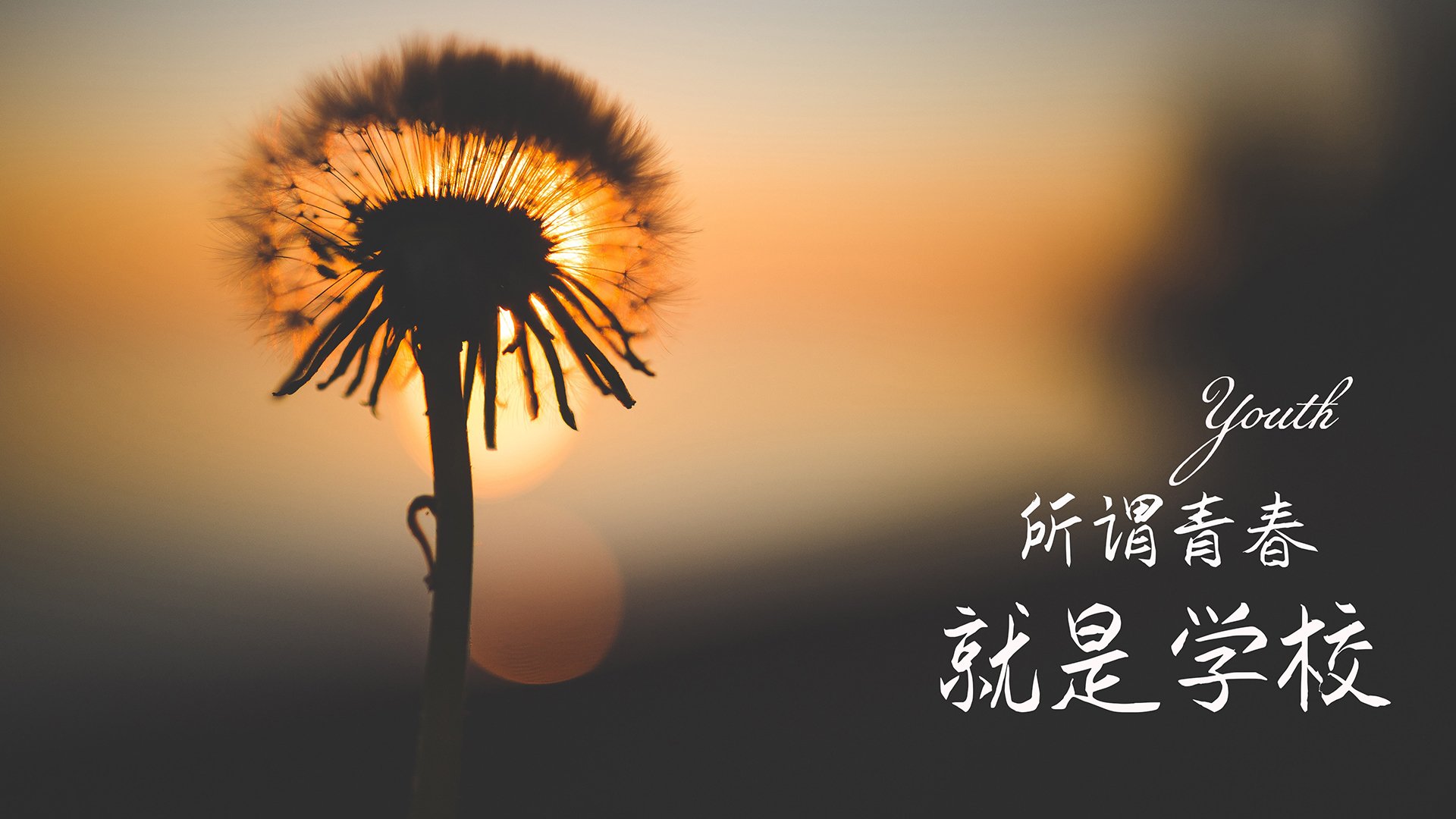 kaiyun登录入口-个人混合泳技术衔接成升级重点，个人混合泳项目