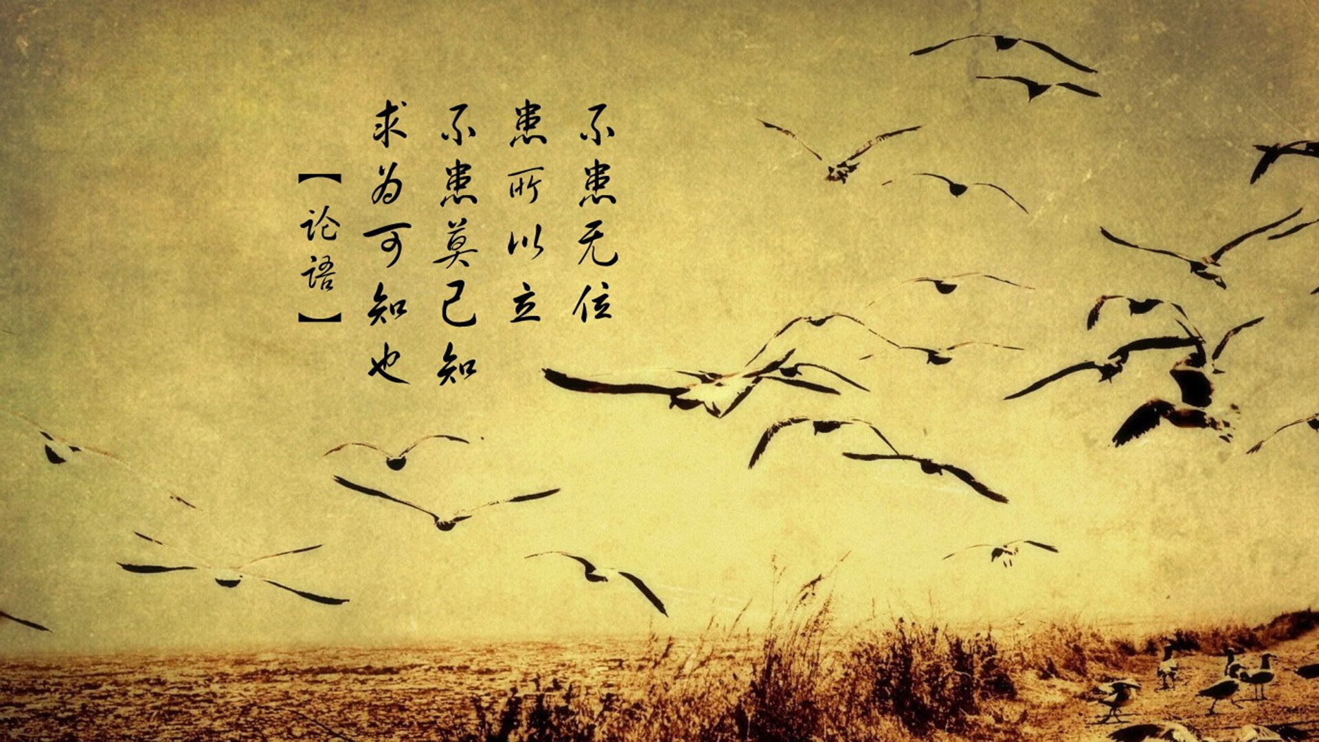 开云体育网页入口-国家队经验型球员缺乏传帮带机制