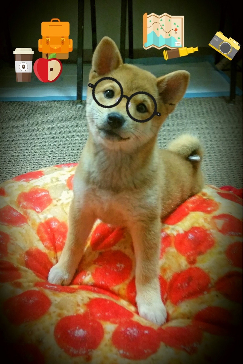 开云体育平台-战术节奏趋于稳健，前快后稳成主基调，战术前摇是什么