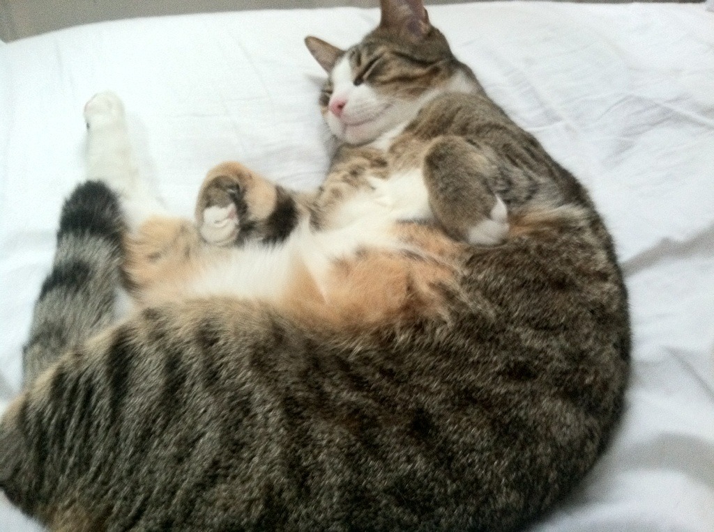 开云 官网 入口-滑雪青少年联赛推动青训体系完善，滑雪比赛青年组年龄段  第2张