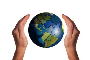 开云在线直播-罗马尼亚队赛制评析：如何在团队赛中实现个人与集体的和谐统一  第2张