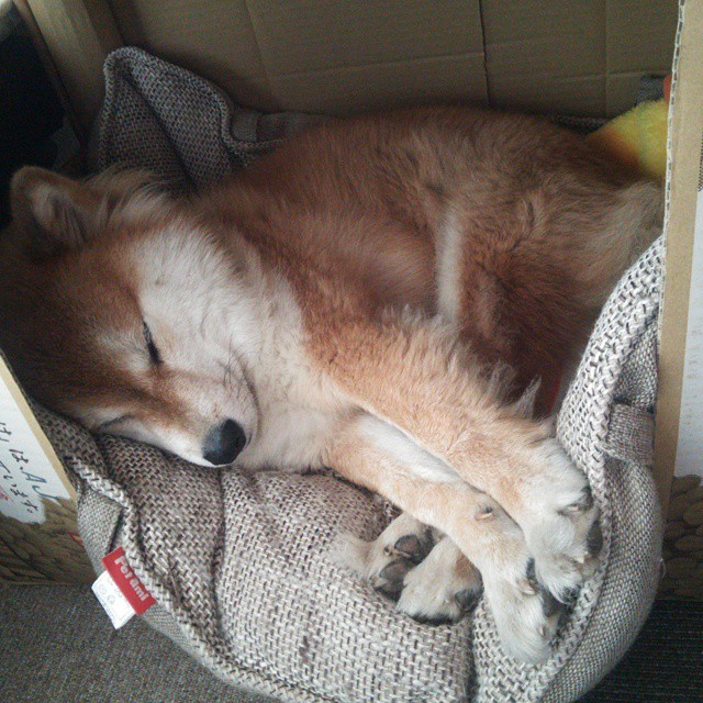 开云体育网页版入口-直播技术创新带动赛事互动体验升级，直播创新玩法  第3张