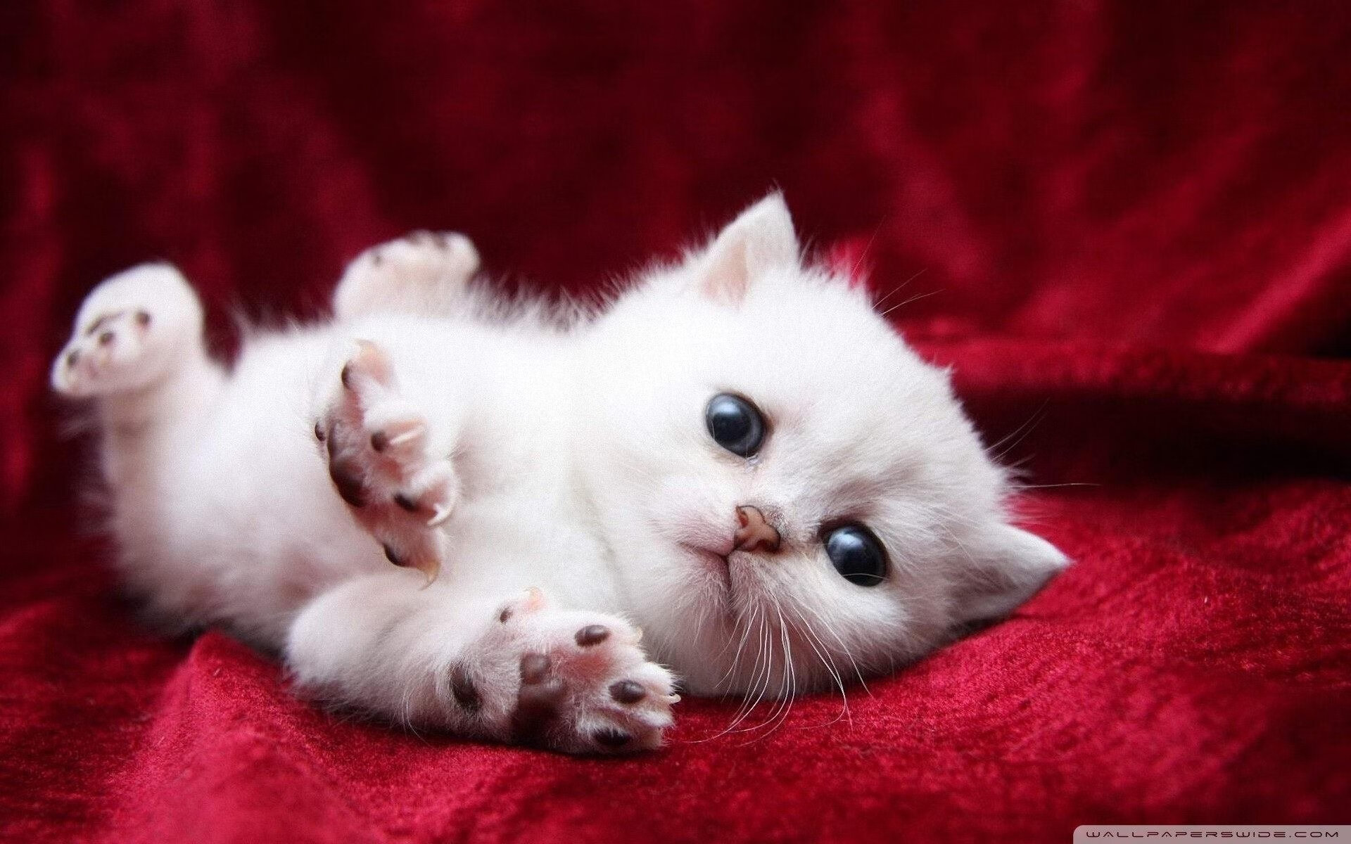 开云综合服务-联盟中最不容易被防死的球员排名,联盟防守最好的球员