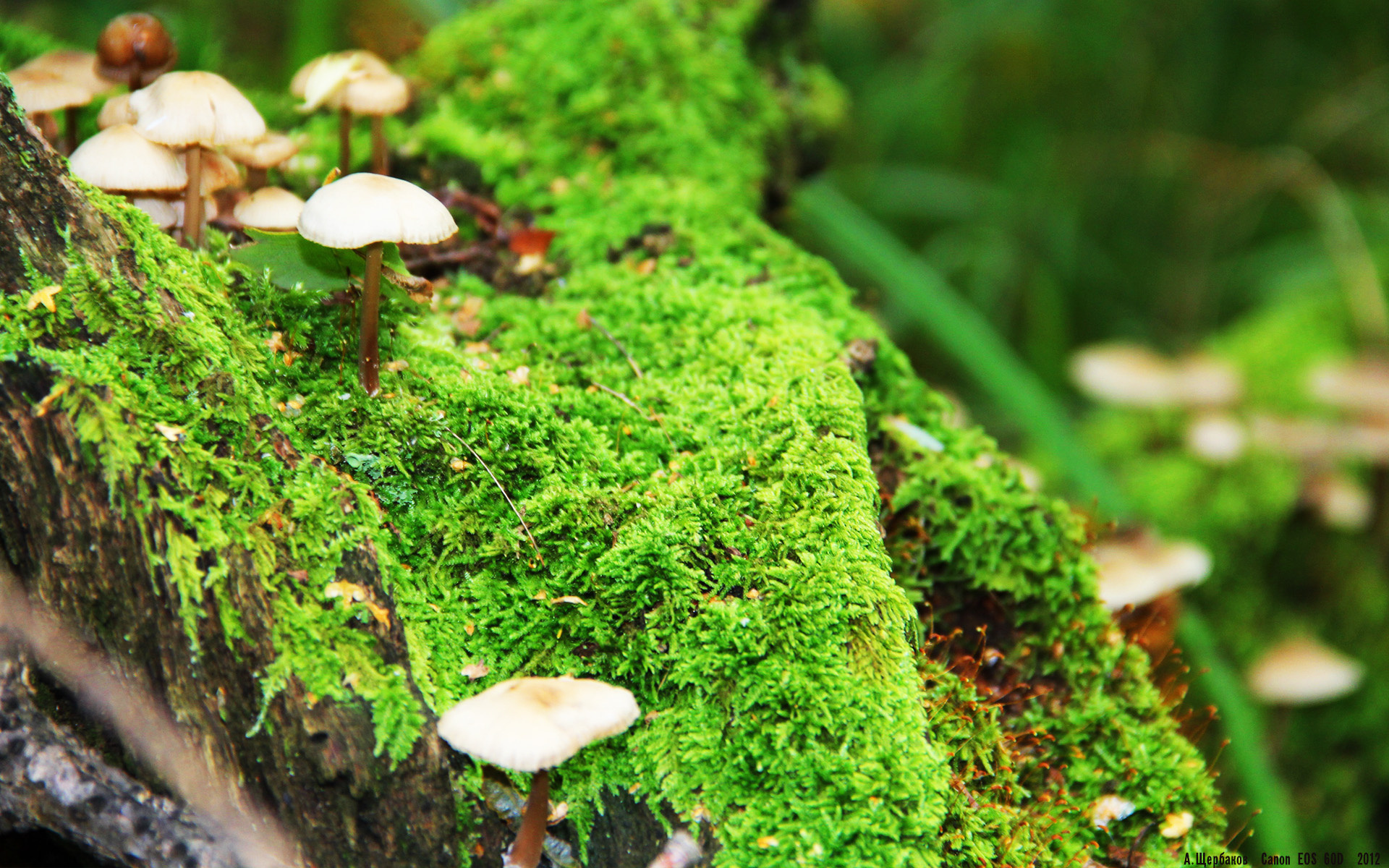 KAIYUNAPP-自由搏击赛事注重选手文化素养展示,自由搏击参赛