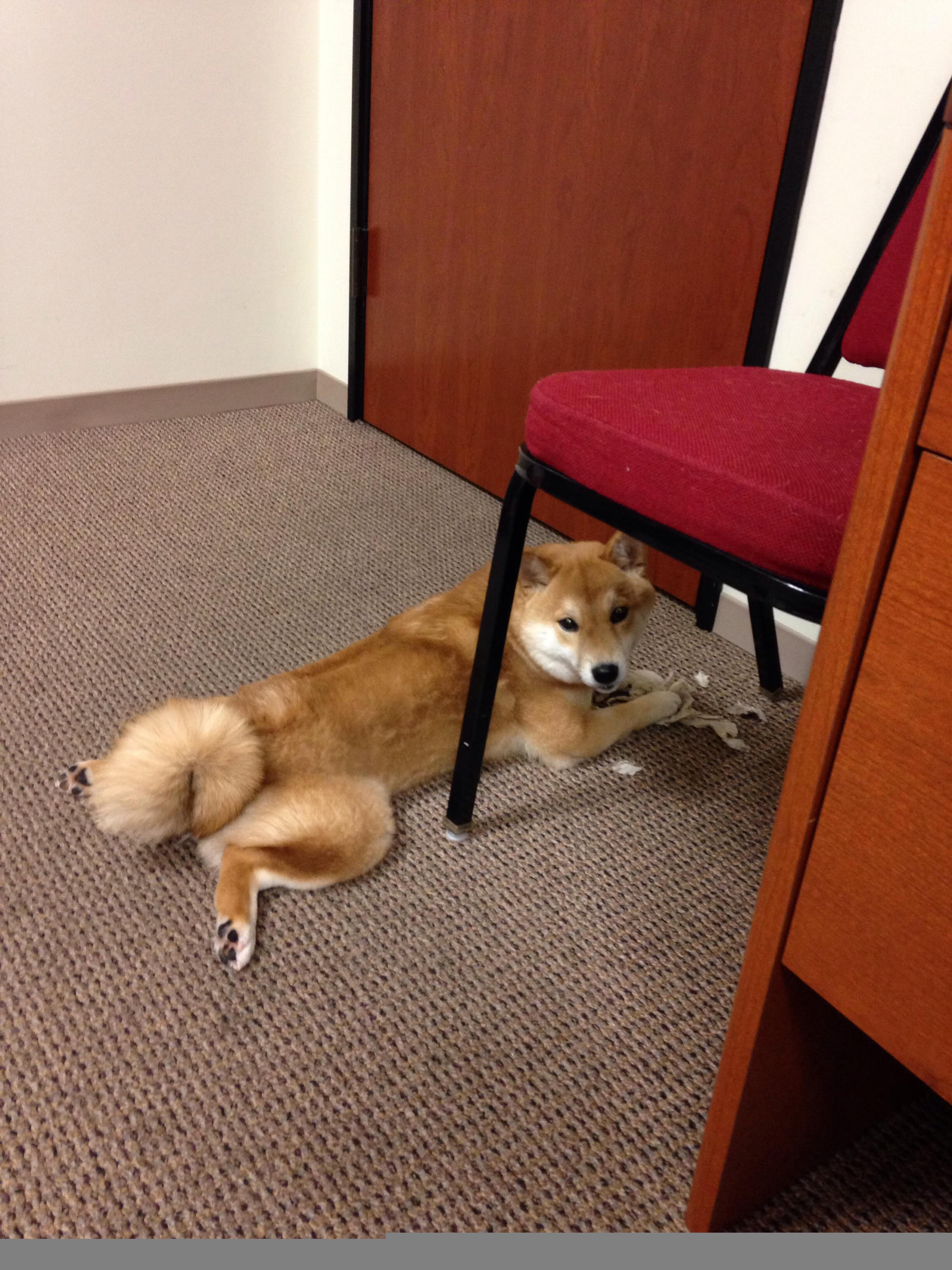 开云网址入口-马竞前场多点开花,进攻效率高,马竞前场多点开花,进攻效率高吗