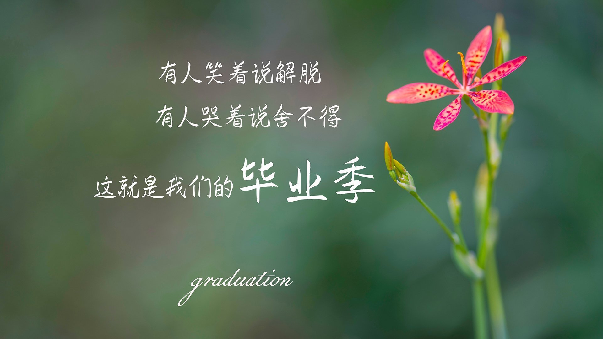 开云全站-叶夫根尼娅·奇库诺娃泳姿优雅成焦点，叶夫根尼娅·格罗百科