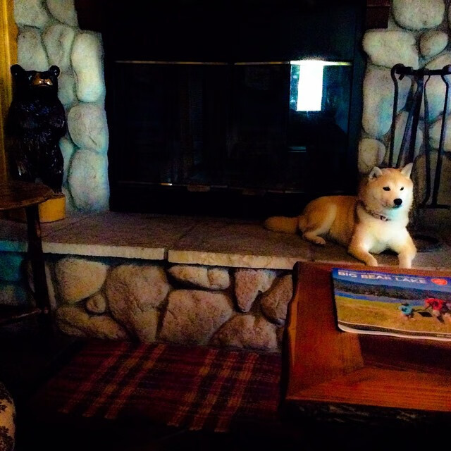 kaiyun官方入口登录-夺冠热门状态不佳遭遇两连败球迷情绪出现波动，热门夺冠选手