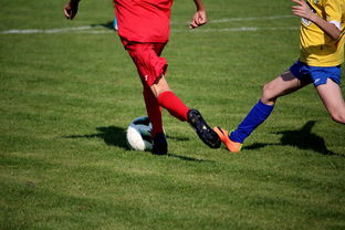 开云官方-LPL多个队伍重组计划曝光转会期极度混乱，lpl战队转会期