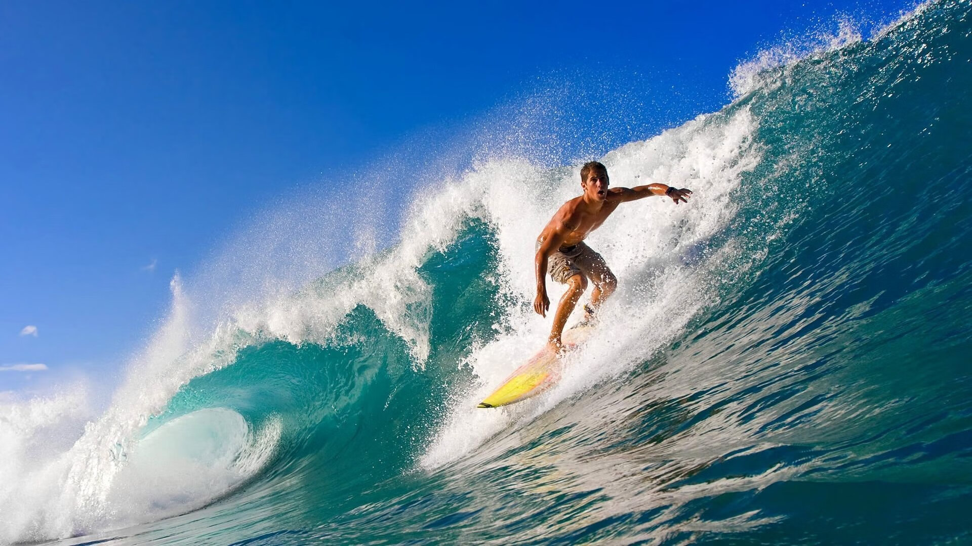 开云网站-体育新闻中心特别专题上线，体育新闻中心特别专题上线了吗