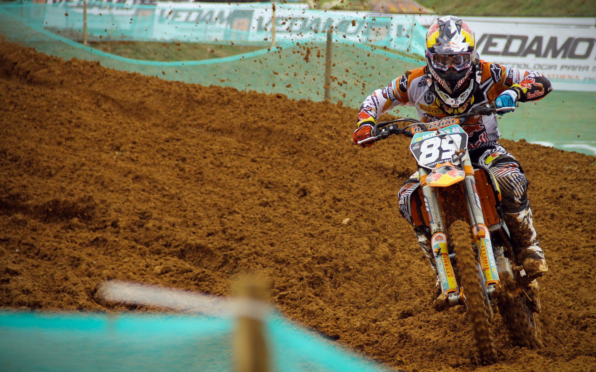 科尔博蛙泳实力引领赛场风潮，科尔博特